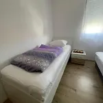 Zuti