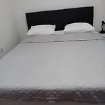 Zuti 네움