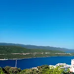 Zuti 네움